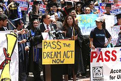 Dream Act teraz